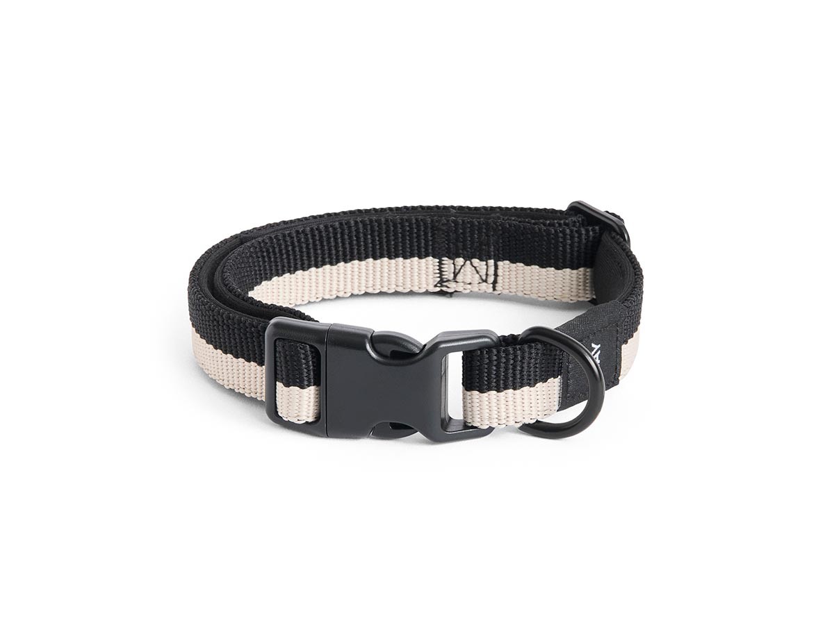 HAY HAY DOGS BY HOLLY GOLIGHTLY
DOGS COLLAR FLAT SM / ヘイ ヘイ ドッグ コレクション
ドッグカラー フラット SM （インテリア雑貨 > ペット用品） 2