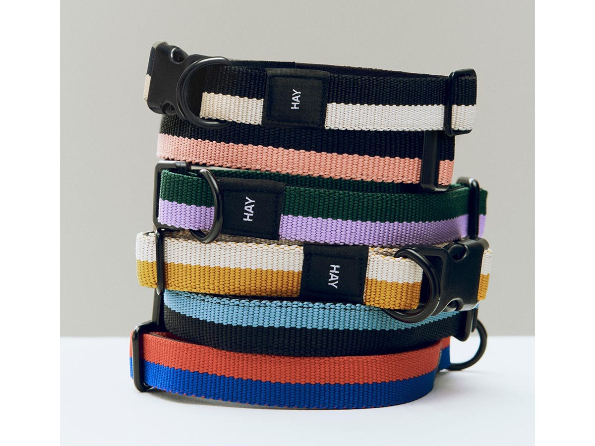 HAY HAY DOGS BY HOLLY GOLIGHTLY
DOGS COLLAR FLAT SM / ヘイ ヘイ ドッグ コレクション
ドッグカラー フラット SM （インテリア雑貨 > ペット用品） 19