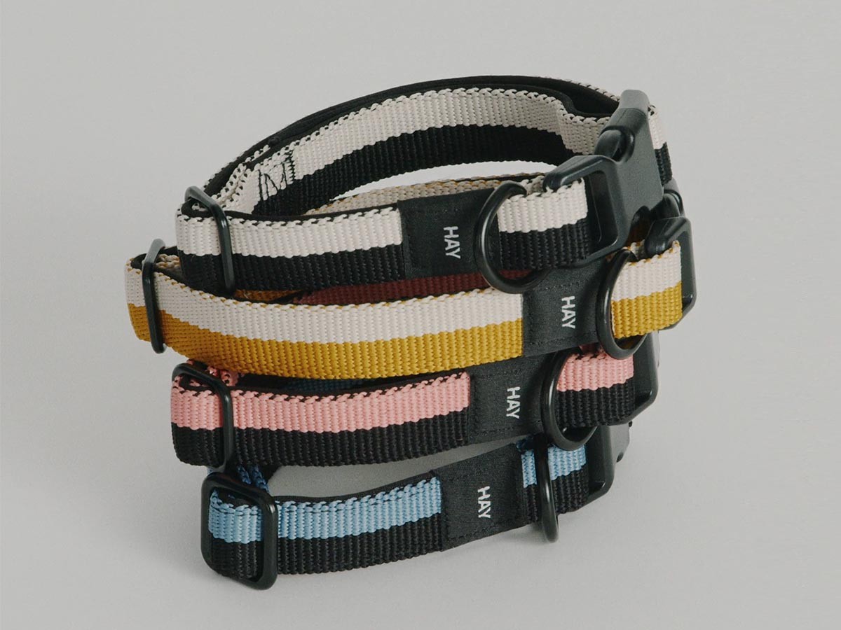 HAY HAY DOGS BY HOLLY GOLIGHTLY
DOGS COLLAR FLAT SM / ヘイ ヘイ ドッグ コレクション
ドッグカラー フラット SM （インテリア雑貨 > ペット用品） 5