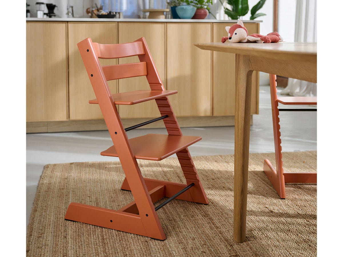 STOKKE TRIPP TRAPP / ストッケ トリップ トラップ （キッズ家具・ベビー用品 > キッズチェア・ベビーチェア） 113