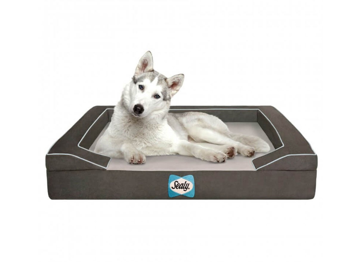 Sealy Sealy Dog Bed
Lux Premium / シーリー シーリー ドッグベッド ラックスプレミアム Sサイズ （雑貨・その他インテリア家具 > ペット用品・家具） 1
