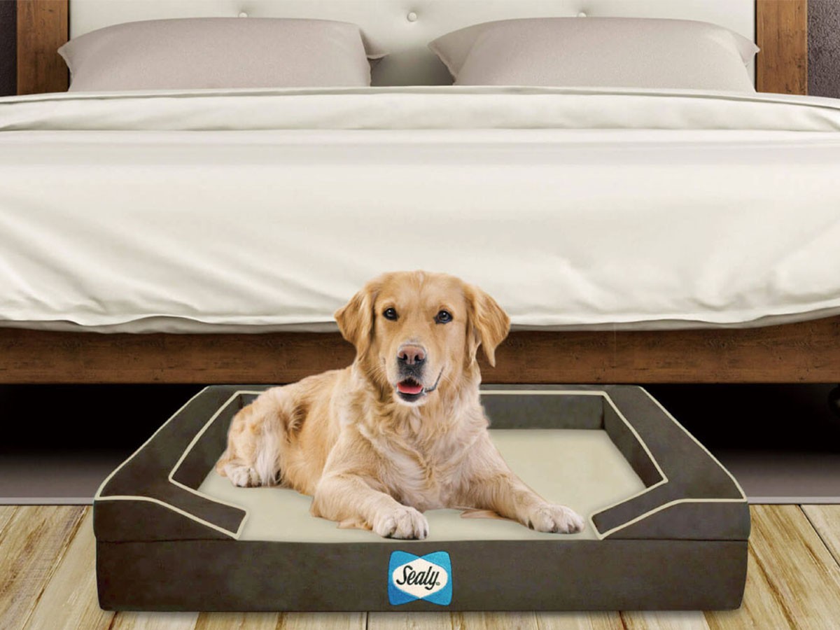 Sealy Sealy Dog Bed
Lux Premium / シーリー シーリー ドッグベッド ラックスプレミアム Sサイズ （雑貨・その他インテリア家具 > ペット用品・家具） 3
