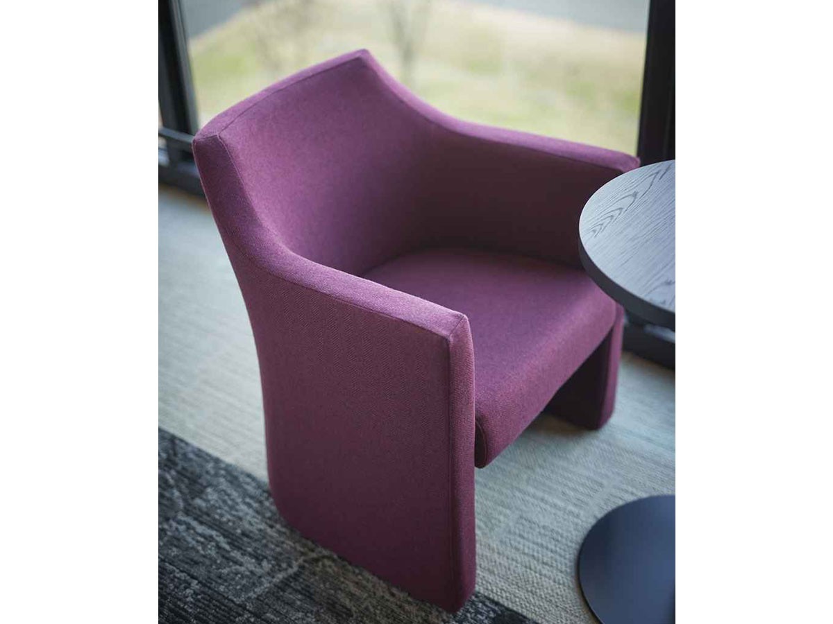 ABORD LOUNGE CHAIR / アボール ラウンジチェア F005 （チェア・椅子 > ラウンジチェア） 5