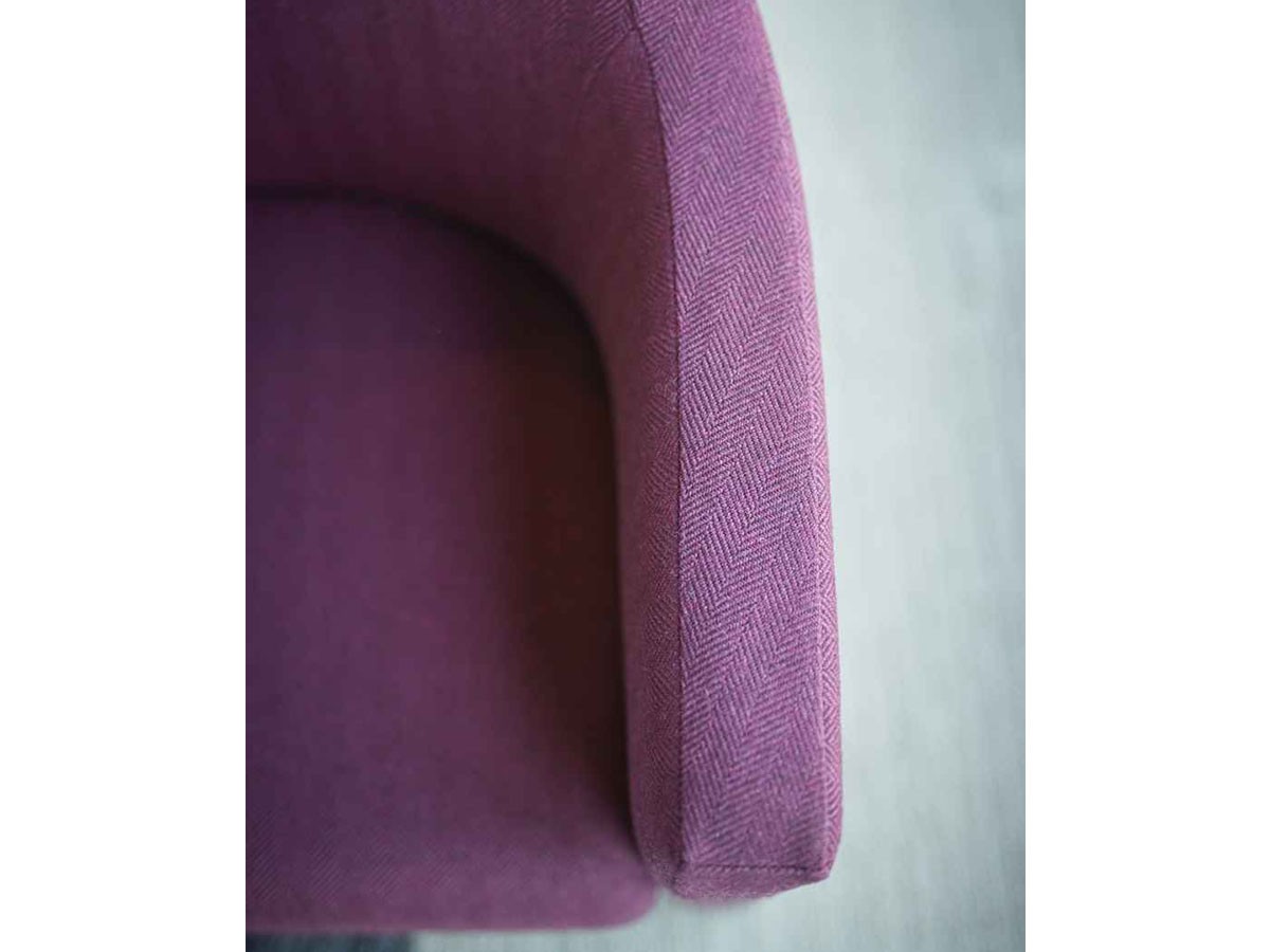 ABORD LOUNGE CHAIR / アボール ラウンジチェア F005 （チェア・椅子 > ラウンジチェア） 9