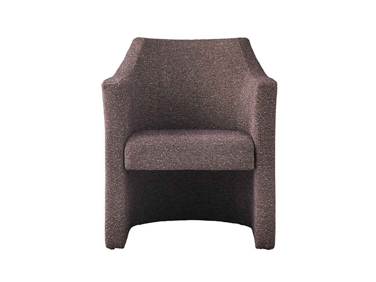 ABORD LOUNGE CHAIR / アボール ラウンジチェア F005 （チェア・椅子 > ラウンジチェア） 14