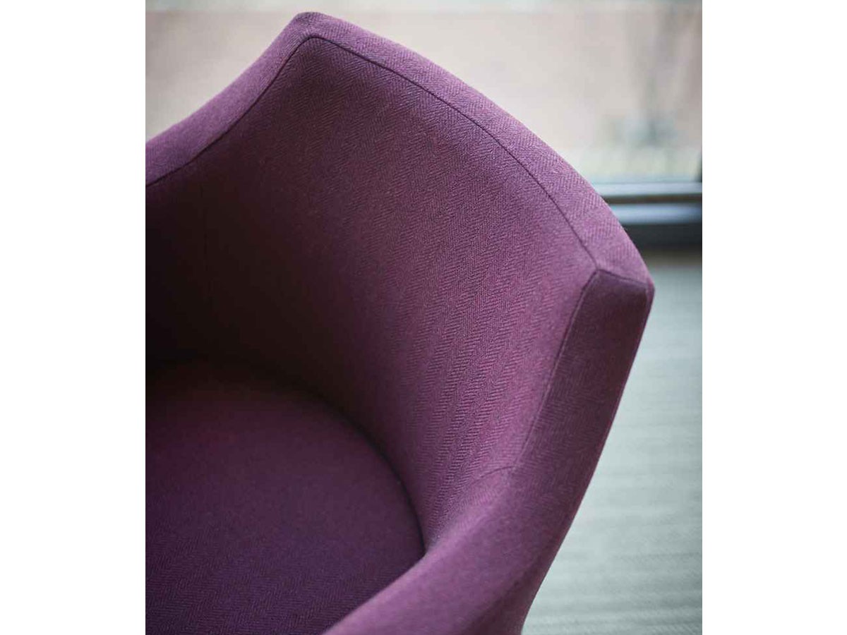 ABORD LOUNGE CHAIR / アボール ラウンジチェア F005 （チェア・椅子 > ラウンジチェア） 7