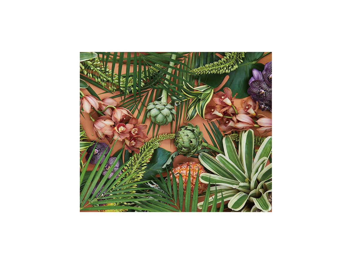 Botanic Orchid Grove