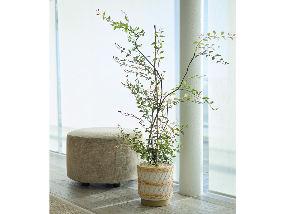 BROWN Riberry Pot / ブラウン ライベリー ポット 125 （花器・プランター・グリーン > フェイクグリーン・フェイクフラワー） 2