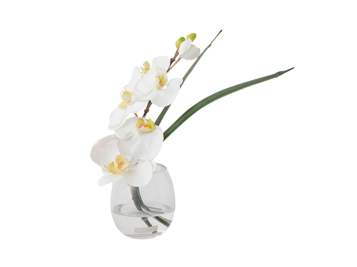 EMILIO ROBBA PHALAENOPSIS / エミリオロバ ファレノプシス #101686 (花器・プランター・グリーン > フェイクグリーン・フェイクフラワー) 1