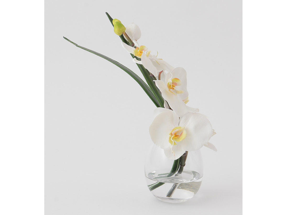 EMILIO ROBBA PHALAENOPSIS / エミリオロバ ファレノプシス #101686 （花器・プランター・グリーン > フェイクグリーン・フェイクフラワー） 12
