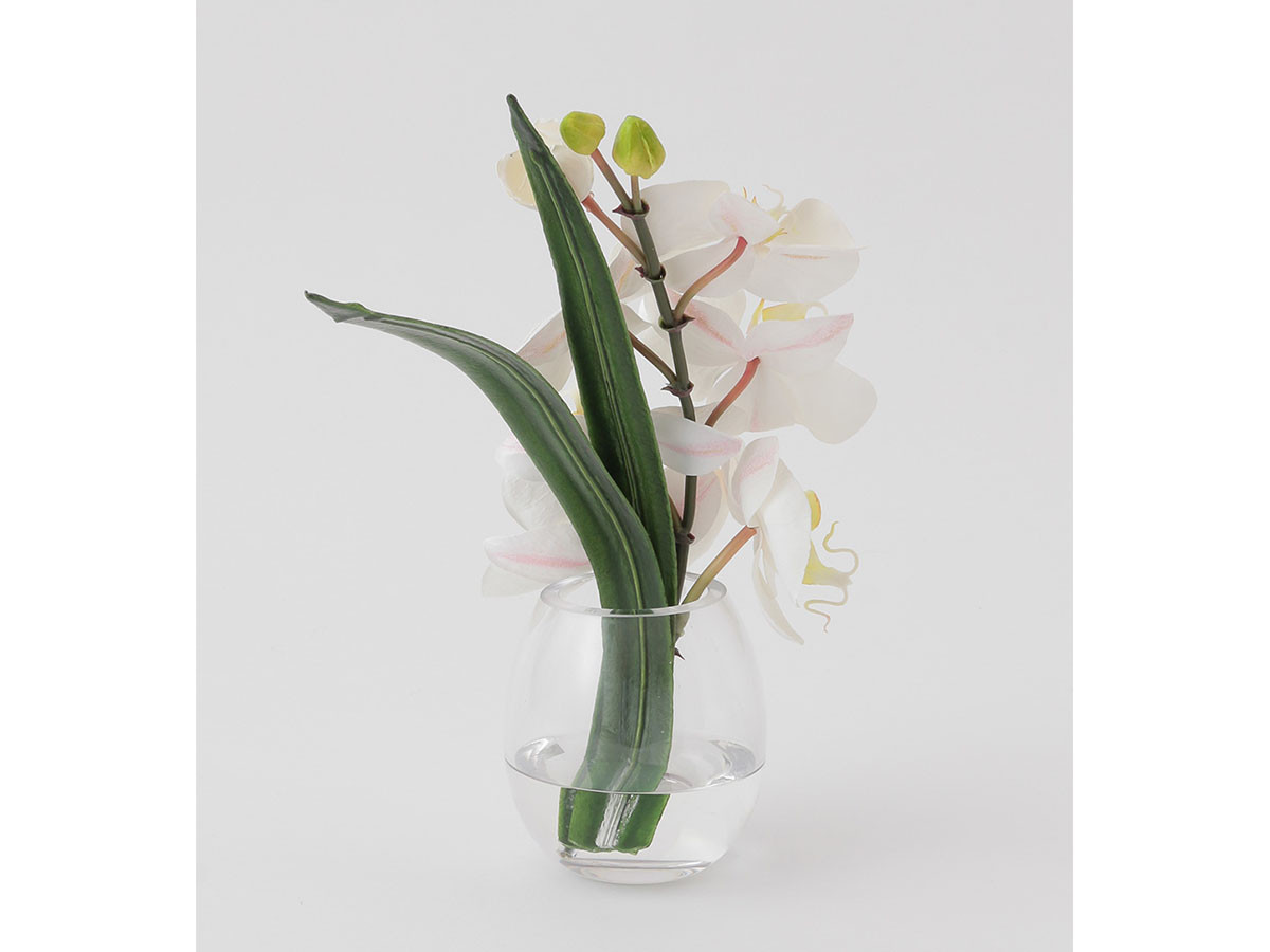 EMILIO ROBBA PHALAENOPSIS / エミリオロバ ファレノプシス #101686 （花器・プランター・グリーン > フェイクグリーン・フェイクフラワー） 13