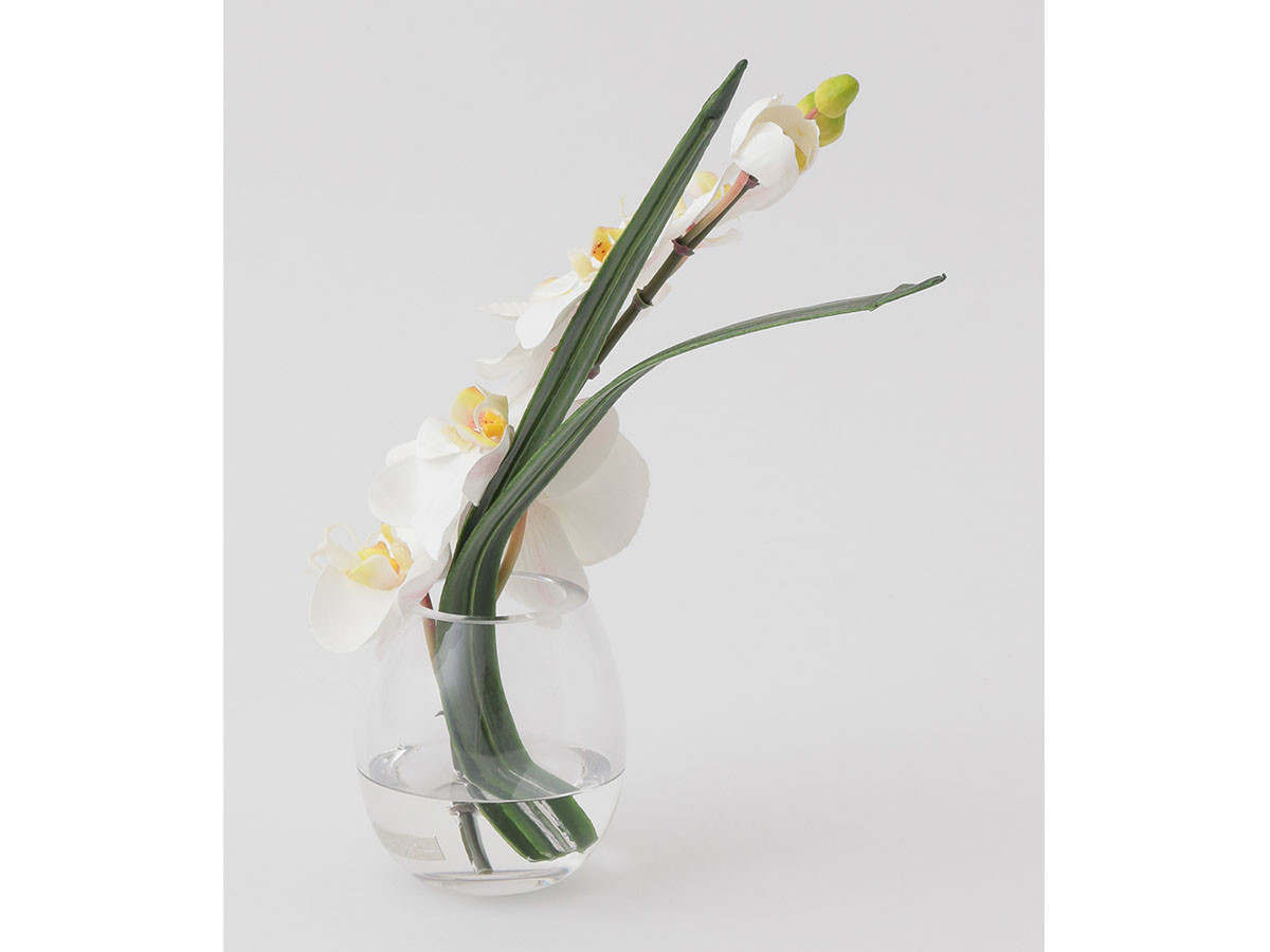 EMILIO ROBBA PHALAENOPSIS / エミリオロバ ファレノプシス #101686 （花器・プランター・グリーン > フェイクグリーン・フェイクフラワー） 14