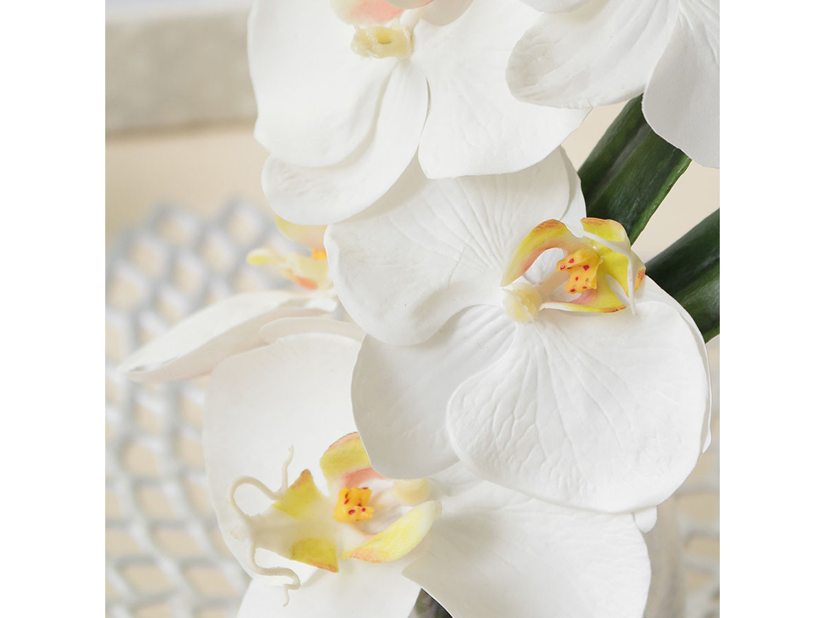 EMILIO ROBBA PHALAENOPSIS / エミリオロバ ファレノプシス #101686 （花器・プランター・グリーン > フェイクグリーン・フェイクフラワー） 8