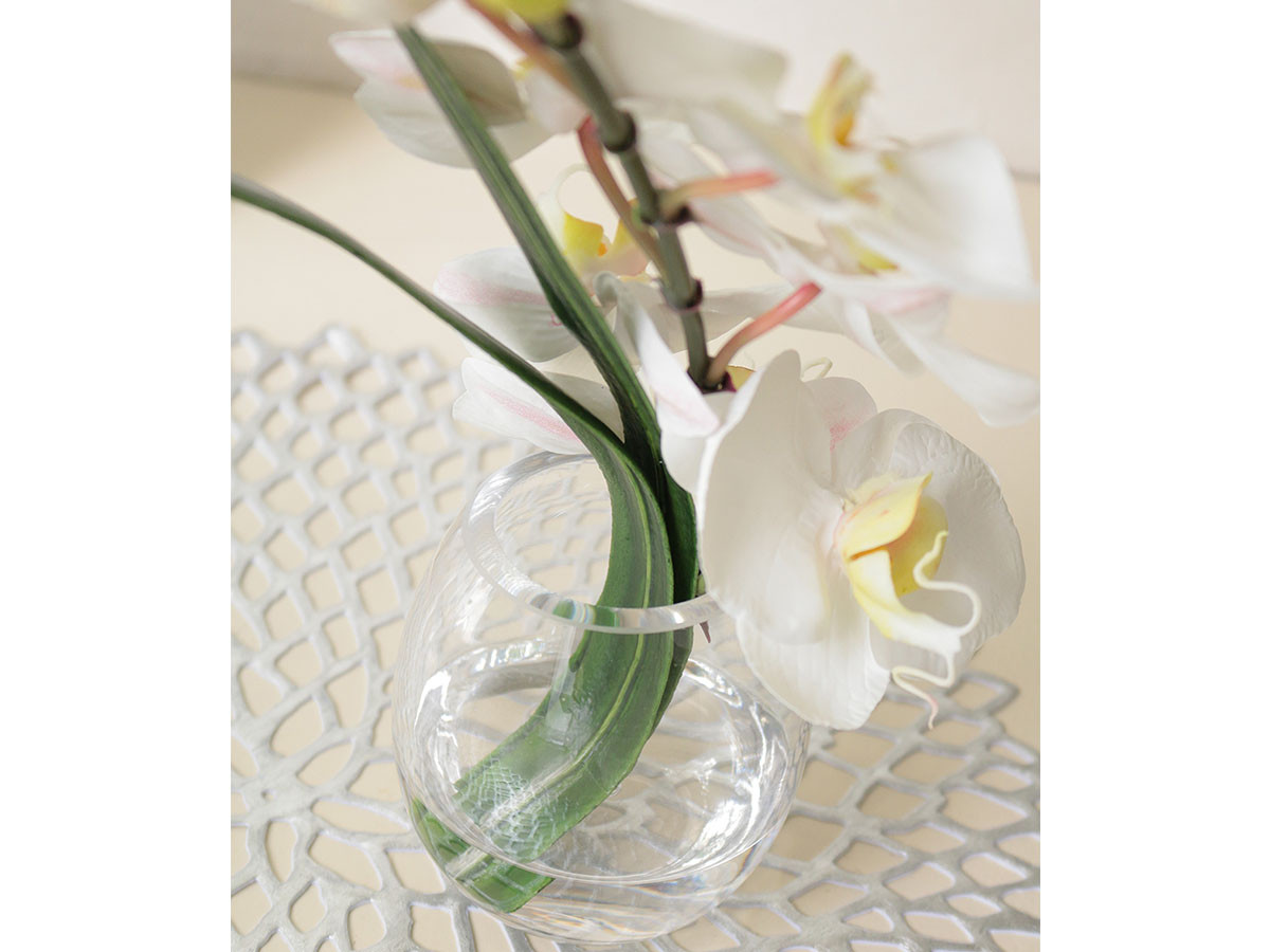EMILIO ROBBA PHALAENOPSIS / エミリオロバ ファレノプシス #101686 （花器・プランター・グリーン > フェイクグリーン・フェイクフラワー） 6