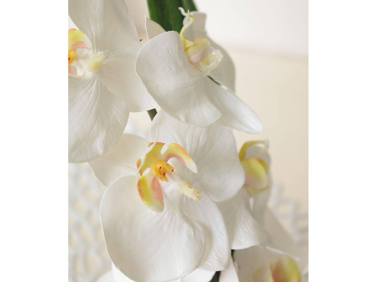EMILIO ROBBA PHALAENOPSIS / エミリオロバ ファレノプシス #101686 （花器・プランター・グリーン > フェイクグリーン・フェイクフラワー） 7