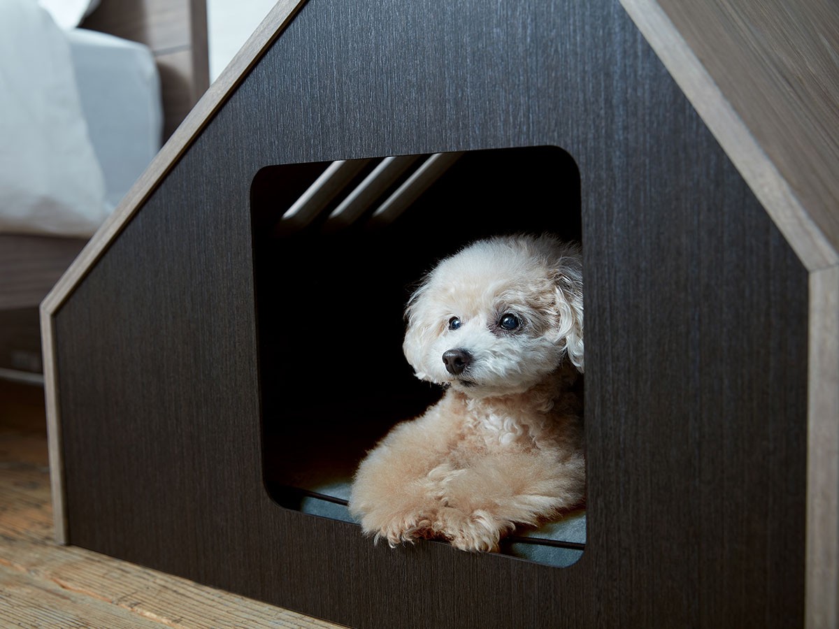 FRANCE PET Pet House Sofita inn / フランスペット ペットハウス ソフィタ イン Mサイズ （雑貨・その他インテリア家具 > ペット用品・家具） 8