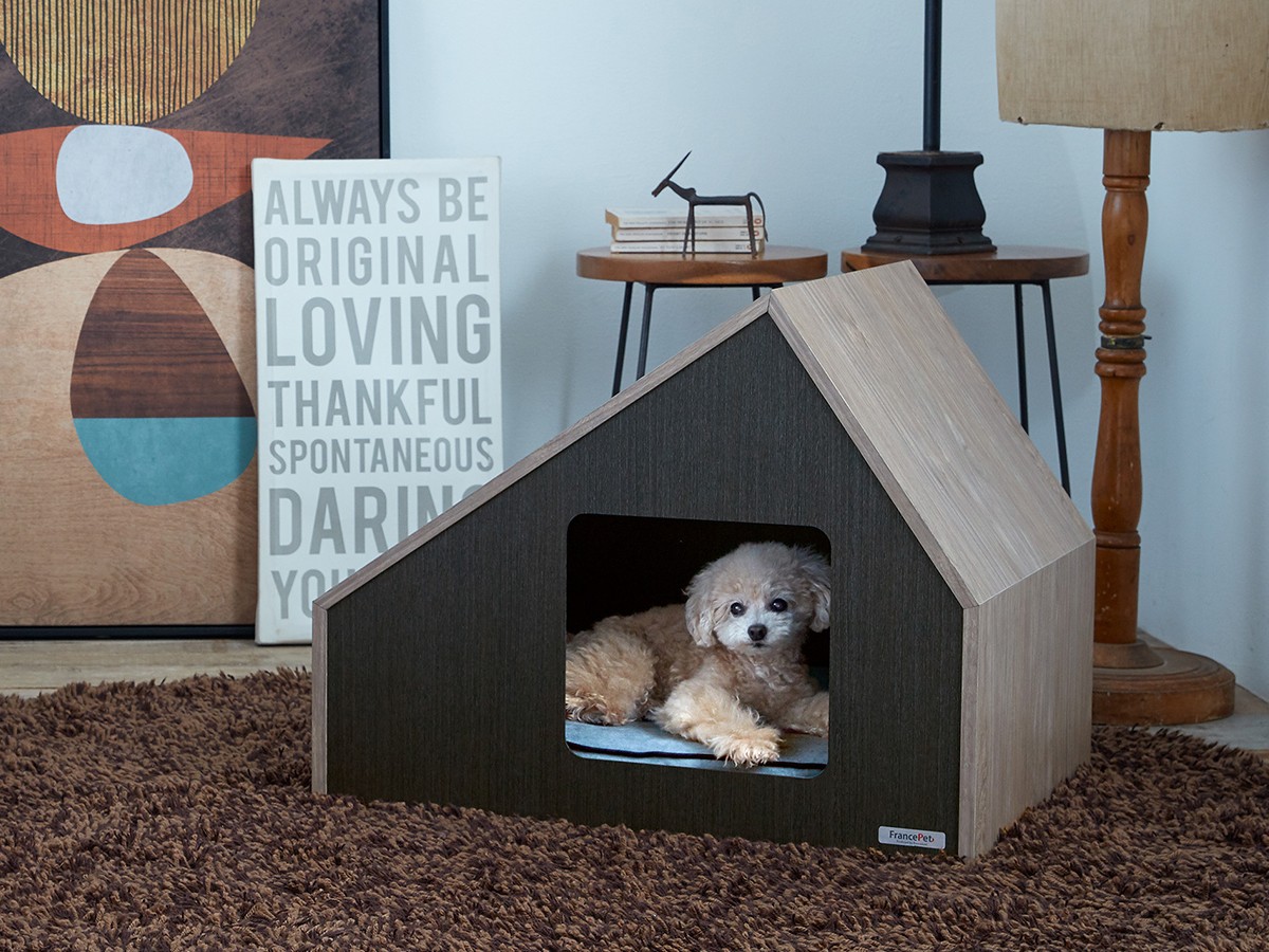 FRANCE PET Pet House Sofita inn / フランスペット ペットハウス