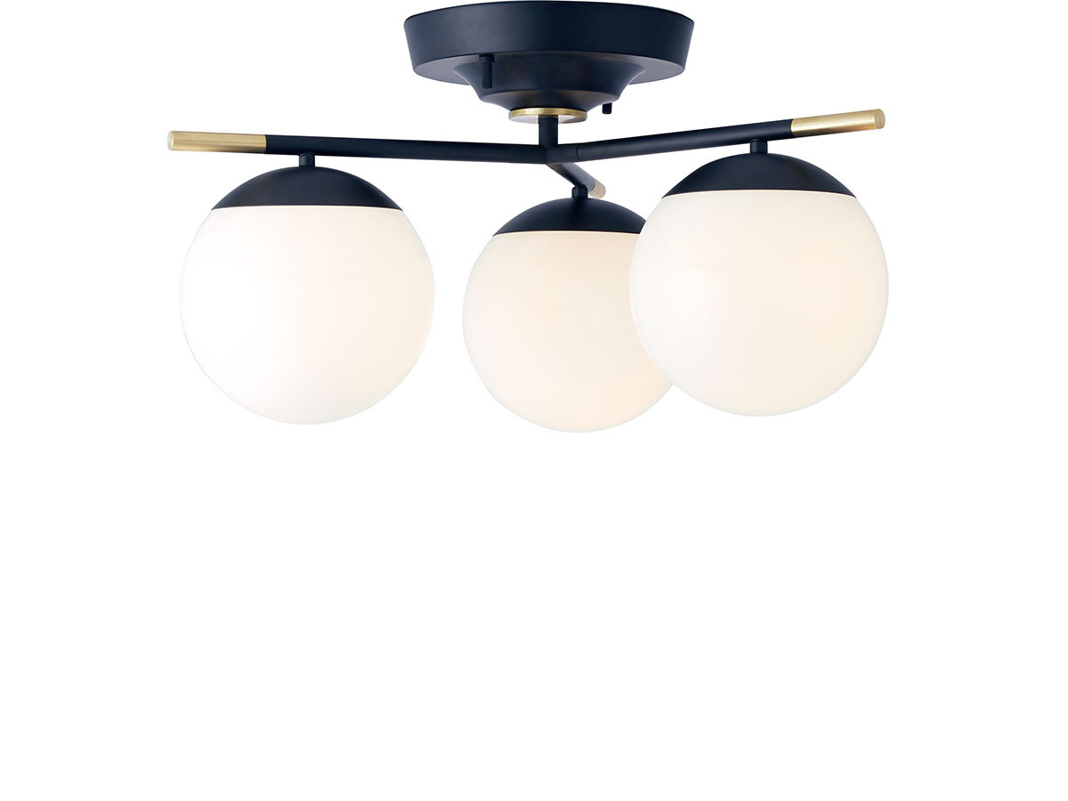 Ceiling Lamp / シーリングランプ #108456 （ライト・照明 > シーリングライト） 2
