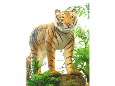 HANSA STANDING TIGER / ハンサ トラ 136 - インテリア・家具通販