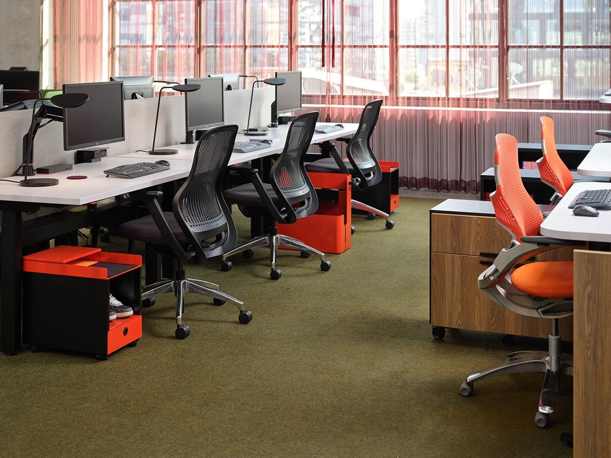 Knoll Office ReGeneration Chair / ノルオフィス リジェネレーション チェア 肘なし （チェア・椅子 > オフィスチェア・デスクチェア） 4