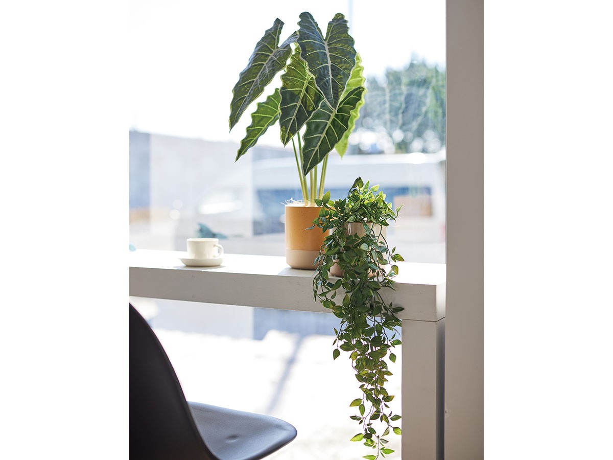 BROWN Ficus Shangri‑La Pot / ブラウン フィカス シャングリラ ポット 74 （花器・プランター・グリーン > フェイクグリーン・フェイクフラワー） 2