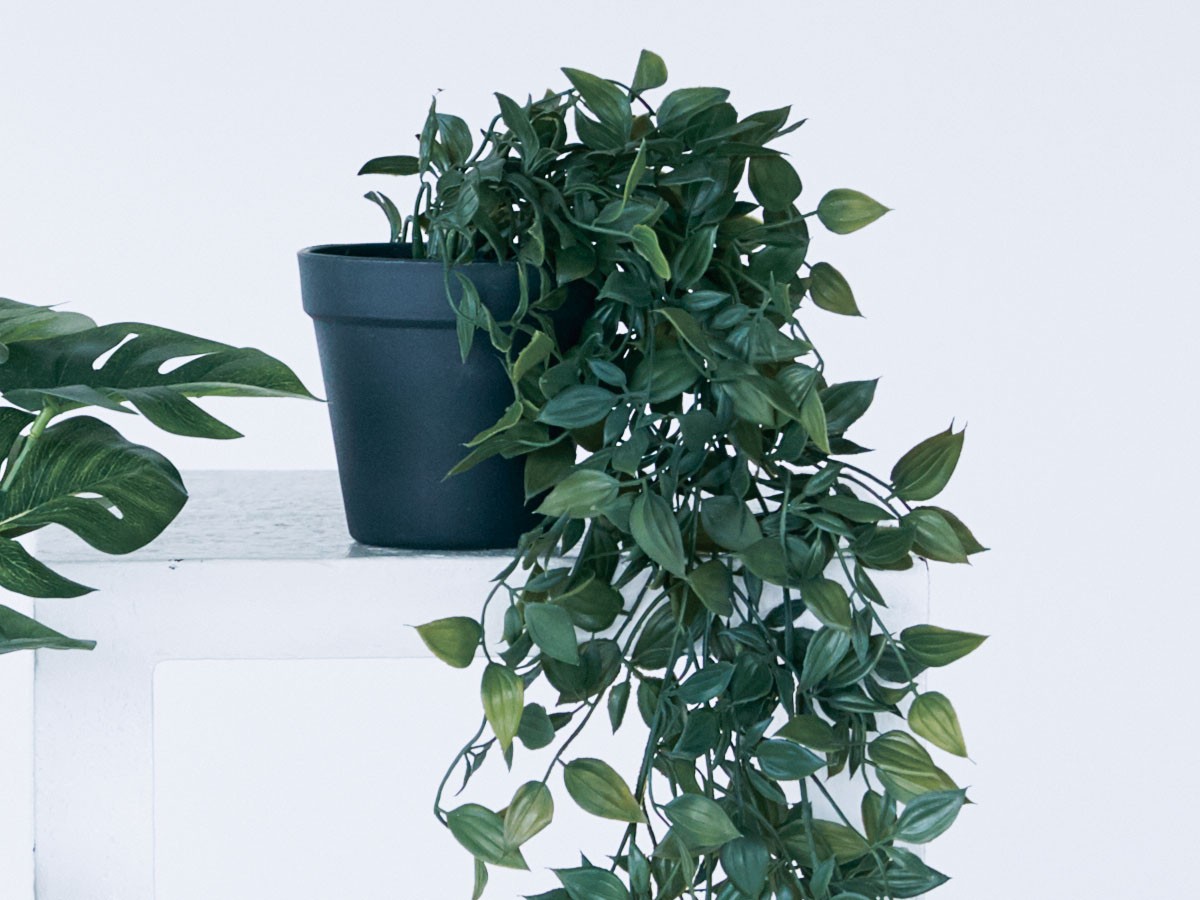 BROWN Ficus Shangri‑La Pot / ブラウン フィカス シャングリラ ポット 74 （花器・プランター・グリーン > フェイクグリーン・フェイクフラワー） 7