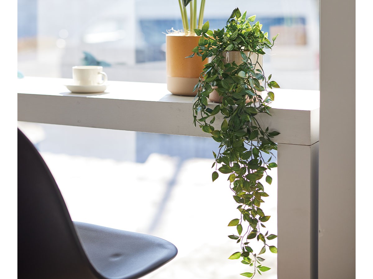 BROWN Ficus Shangri‑La Pot / ブラウン フィカス シャングリラ ポット 74 （花器・プランター・グリーン > フェイクグリーン・フェイクフラワー） 3