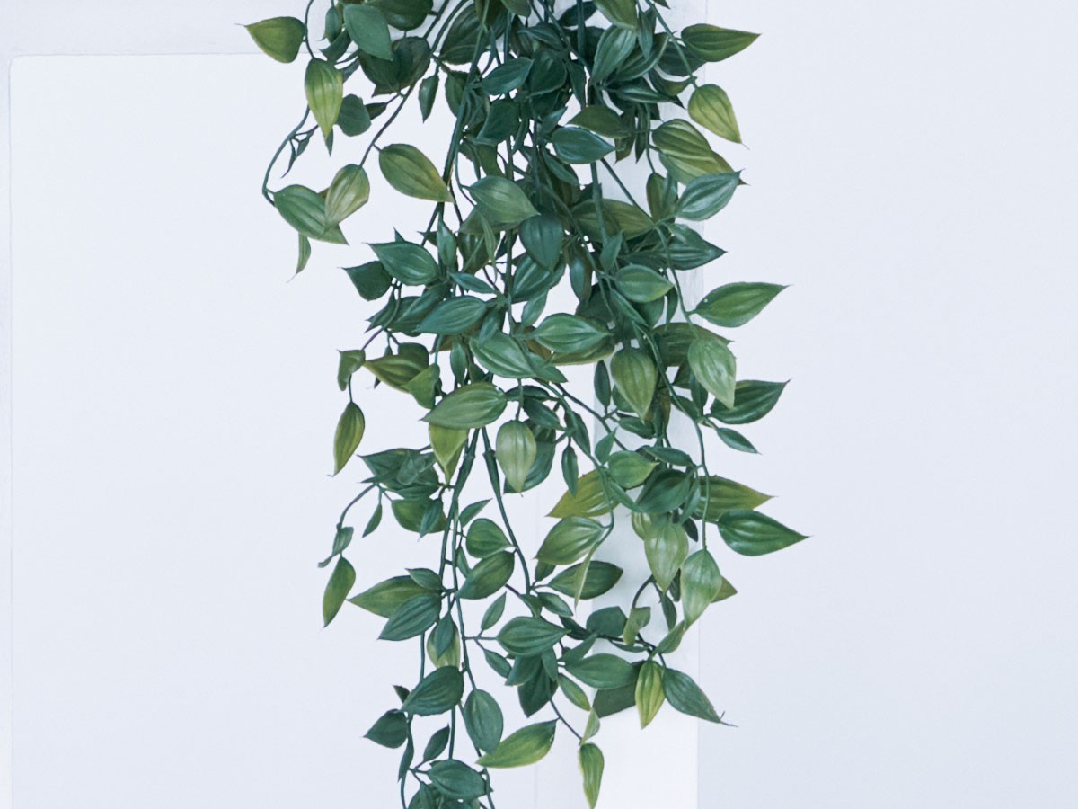 BROWN Ficus Shangri‑La Pot / ブラウン フィカス シャングリラ ポット 74 （花器・プランター・グリーン > フェイクグリーン・フェイクフラワー） 8