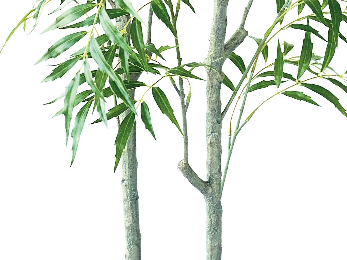 BROWN Chinese Mahonia Pot / ブラウン マホニア コンフューサ ポット 180 （花器・プランター・グリーン > フェイクグリーン・フェイクフラワー） 5