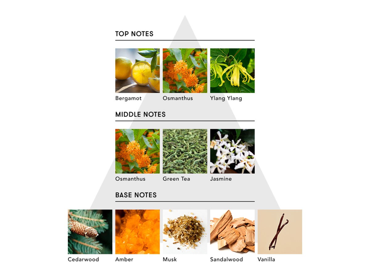 SINN PURETE MINDFUL REED DIFFUSER / シンピュルテ マインドフル リード ディフューザー
FACE OF MODESTY / 謙虚な顔 （インテリア雑貨 > ルームフレグランス） 6