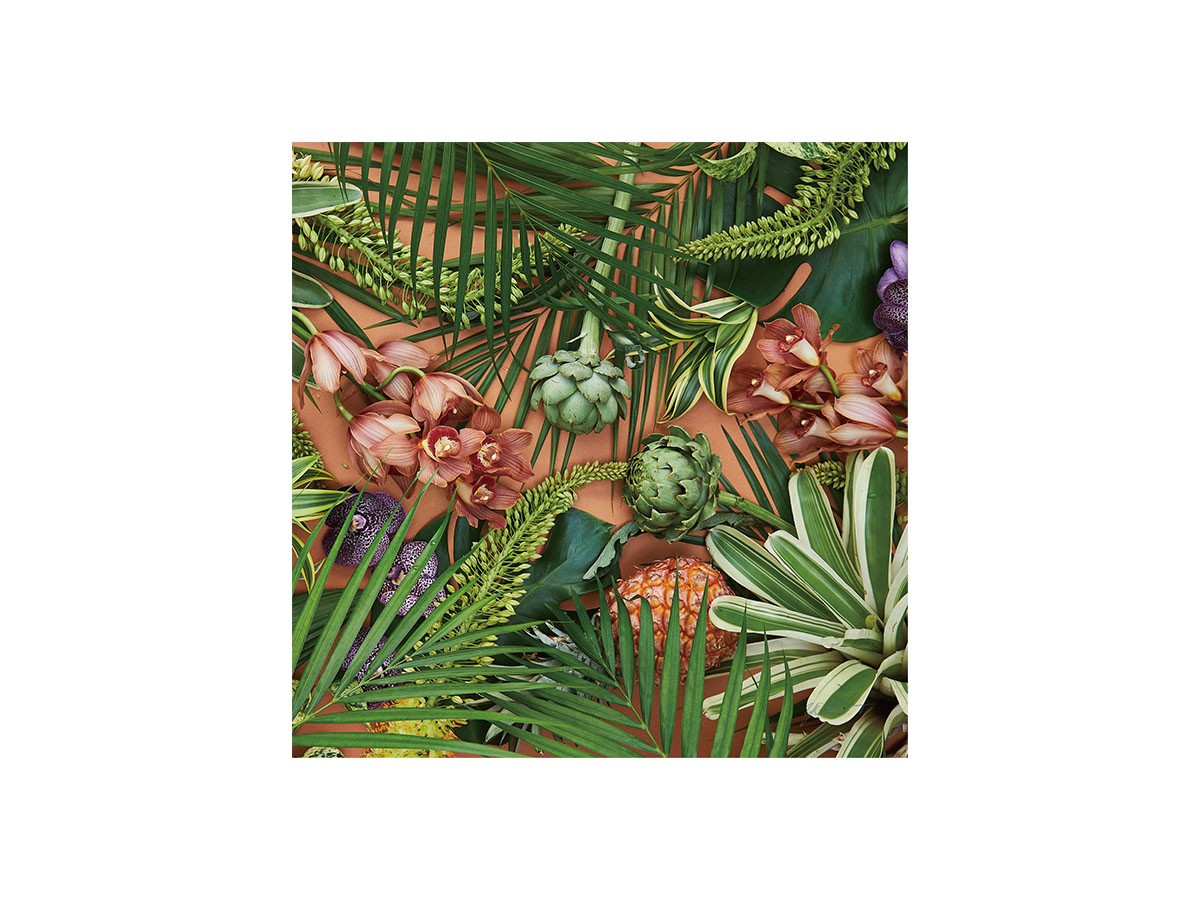 Botanic Orchid Grove