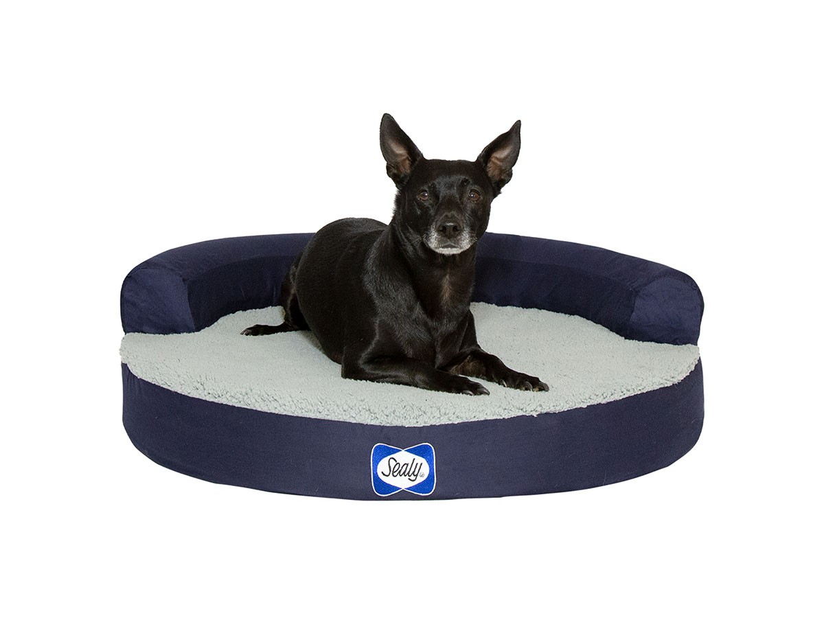 Sealy Sealy Dog Bed
ZEN