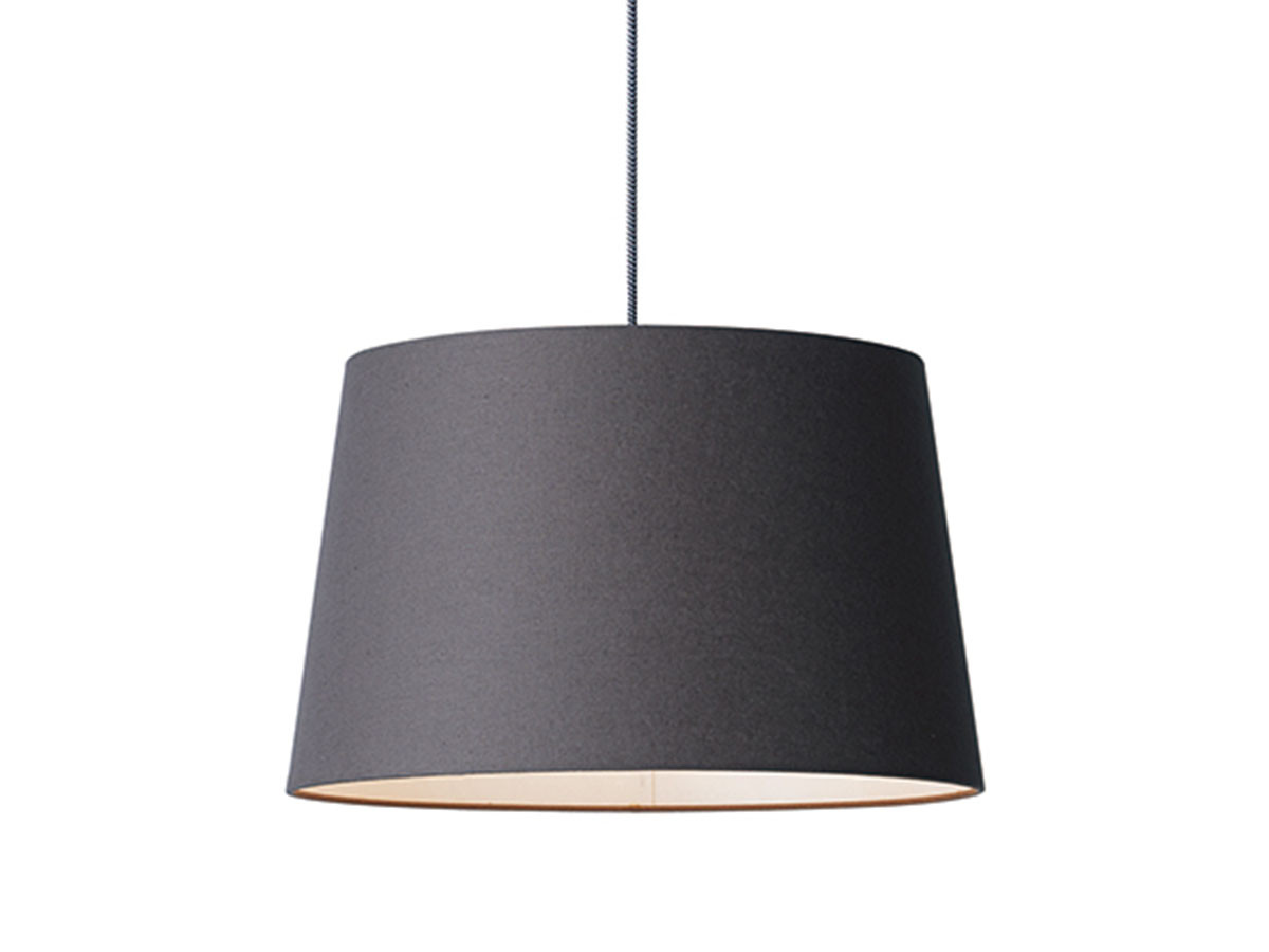 Pendant Light 1