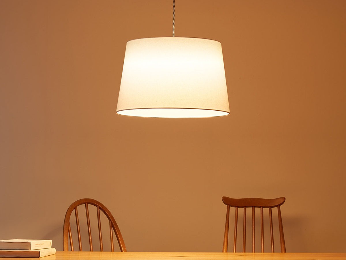 Pendant Light / ペンダントライト #35467 （ライト・照明 > ペンダントライト） 14