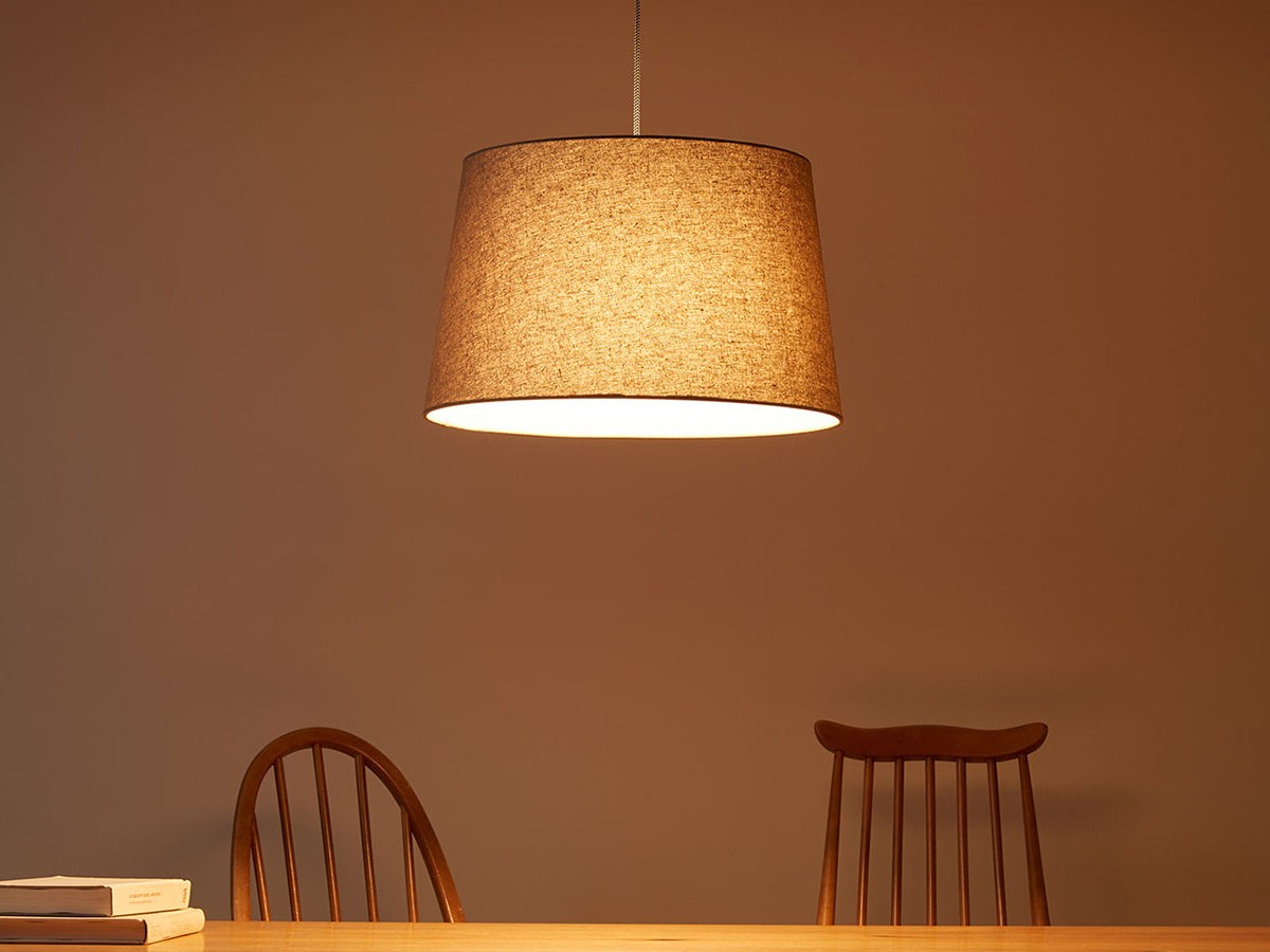 Pendant Light / ペンダントライト #35467 （ライト・照明 > ペンダントライト） 12