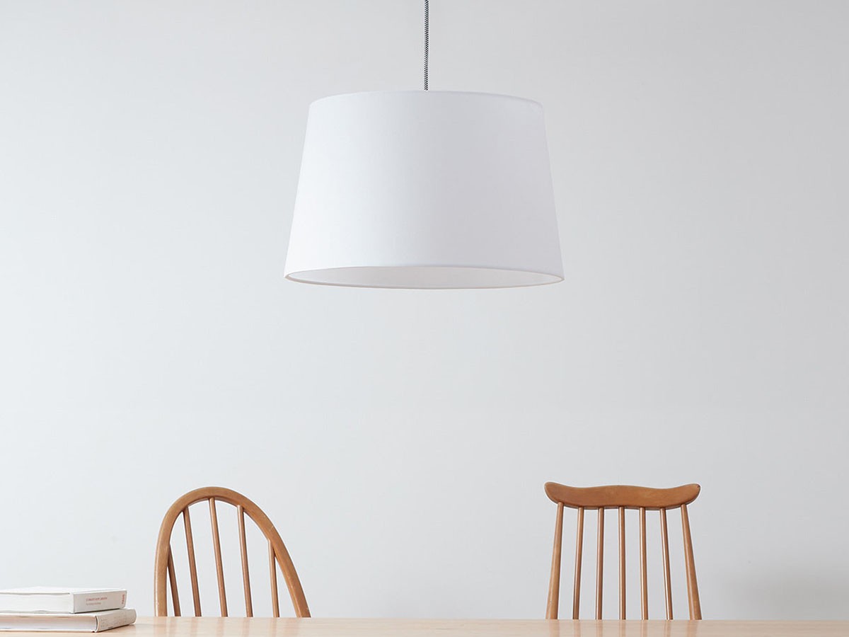 Pendant Light / ペンダントライト #35467 （ライト・照明 > ペンダントライト） 13