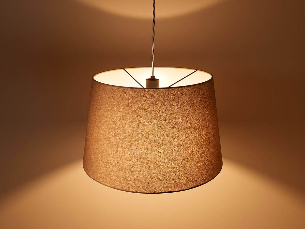 Pendant Light / ペンダントライト #35467 （ライト・照明 > ペンダントライト） 15