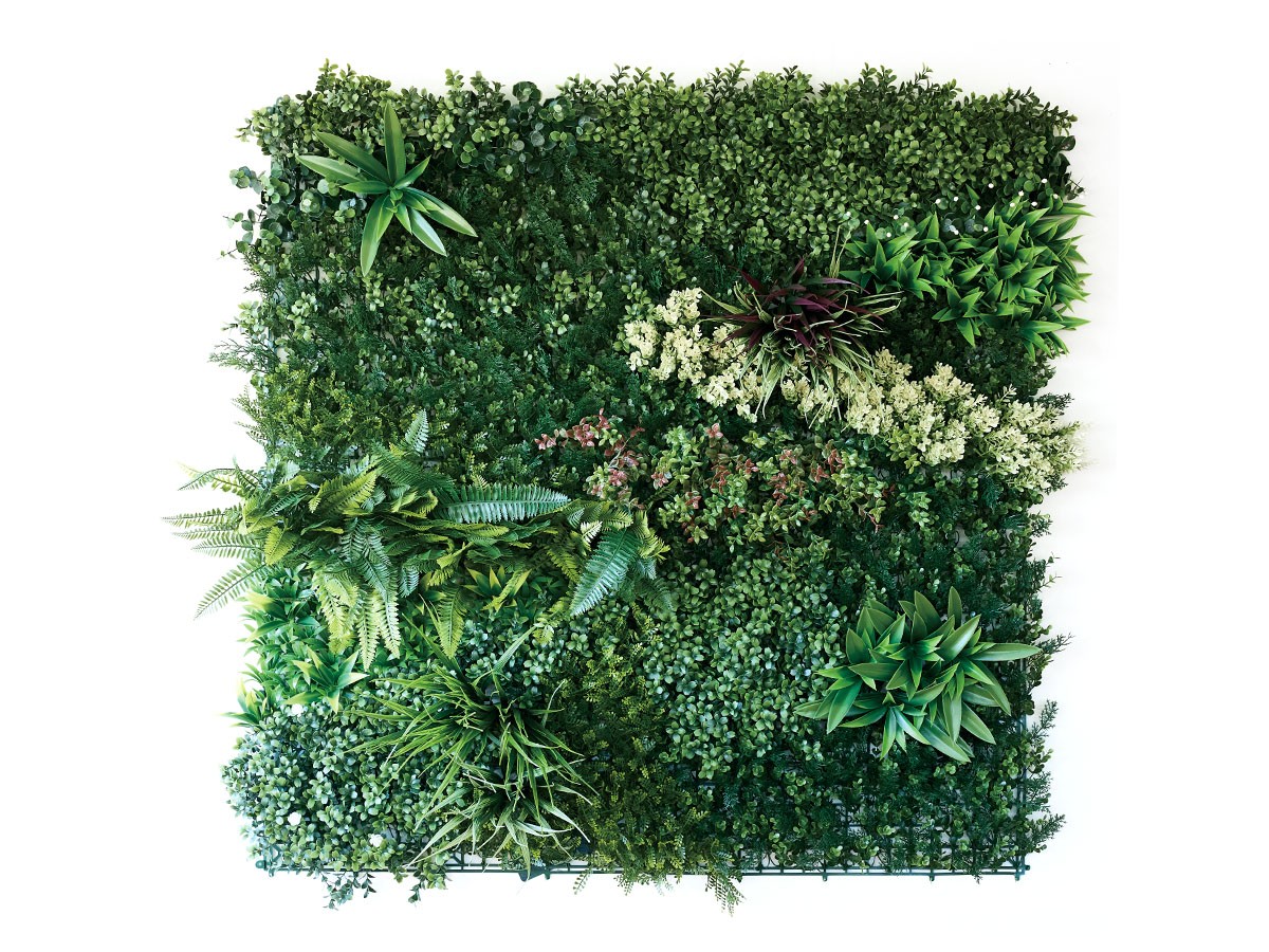 BROWN Green Wall