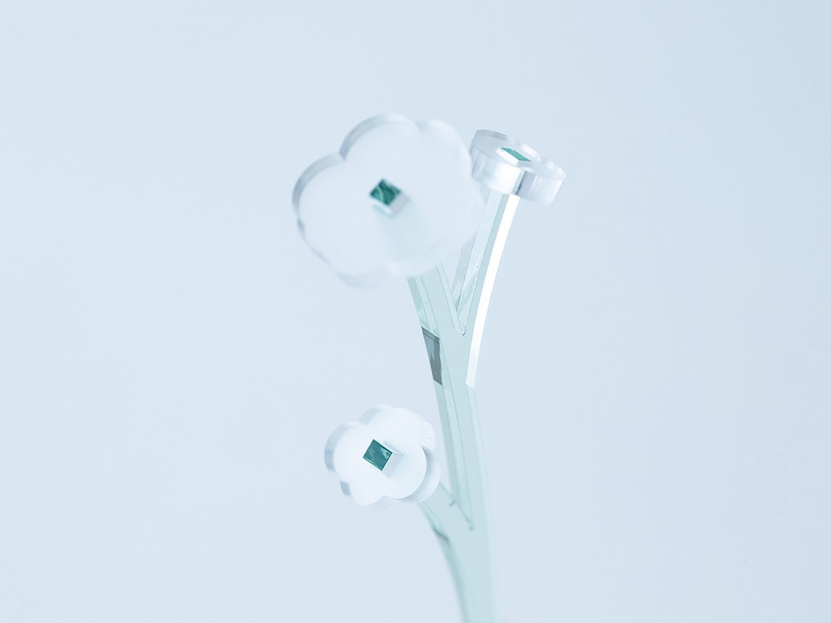 plying ZOKA / プライング ゾーカ （花器・プランター・グリーン > フェイクグリーン・フェイクフラワー） 16