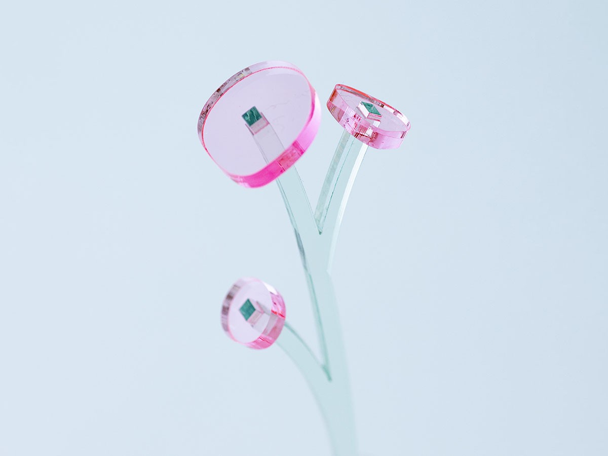 plying ZOKA / プライング ゾーカ （花器・プランター・グリーン > フェイクグリーン・フェイクフラワー） 14