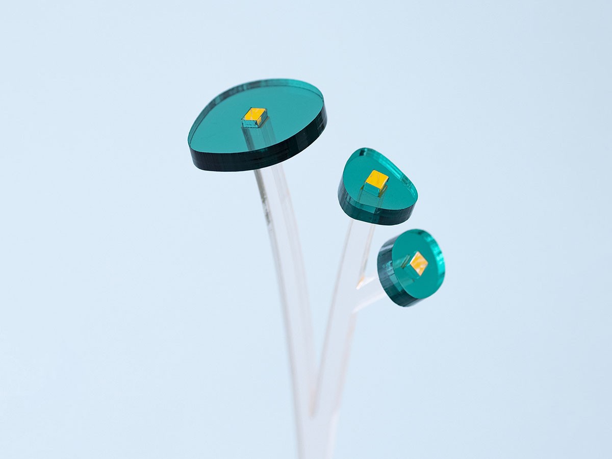 plying ZOKA / プライング ゾーカ （花器・プランター・グリーン > フェイクグリーン・フェイクフラワー） 15