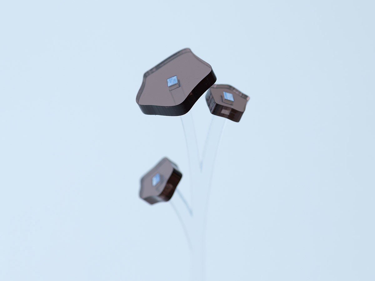 plying ZOKA / プライング ゾーカ （花器・プランター・グリーン > フェイクグリーン・フェイクフラワー） 22