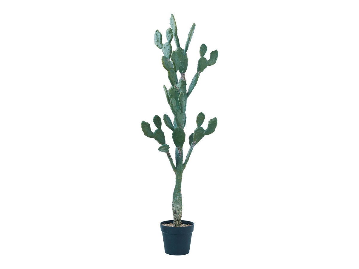 BROWN Prickly Pear Cactus Pot / ブラウン ウチワサボテン ポット 130 （花器・プランター・グリーン > フェイクグリーン・フェイクフラワー） 1