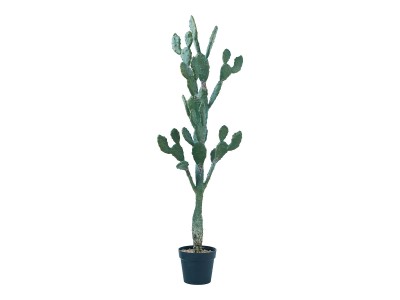 BROWN Prickly Pear Cactus Pot / ブラウン ウチワサボテン ポット 117