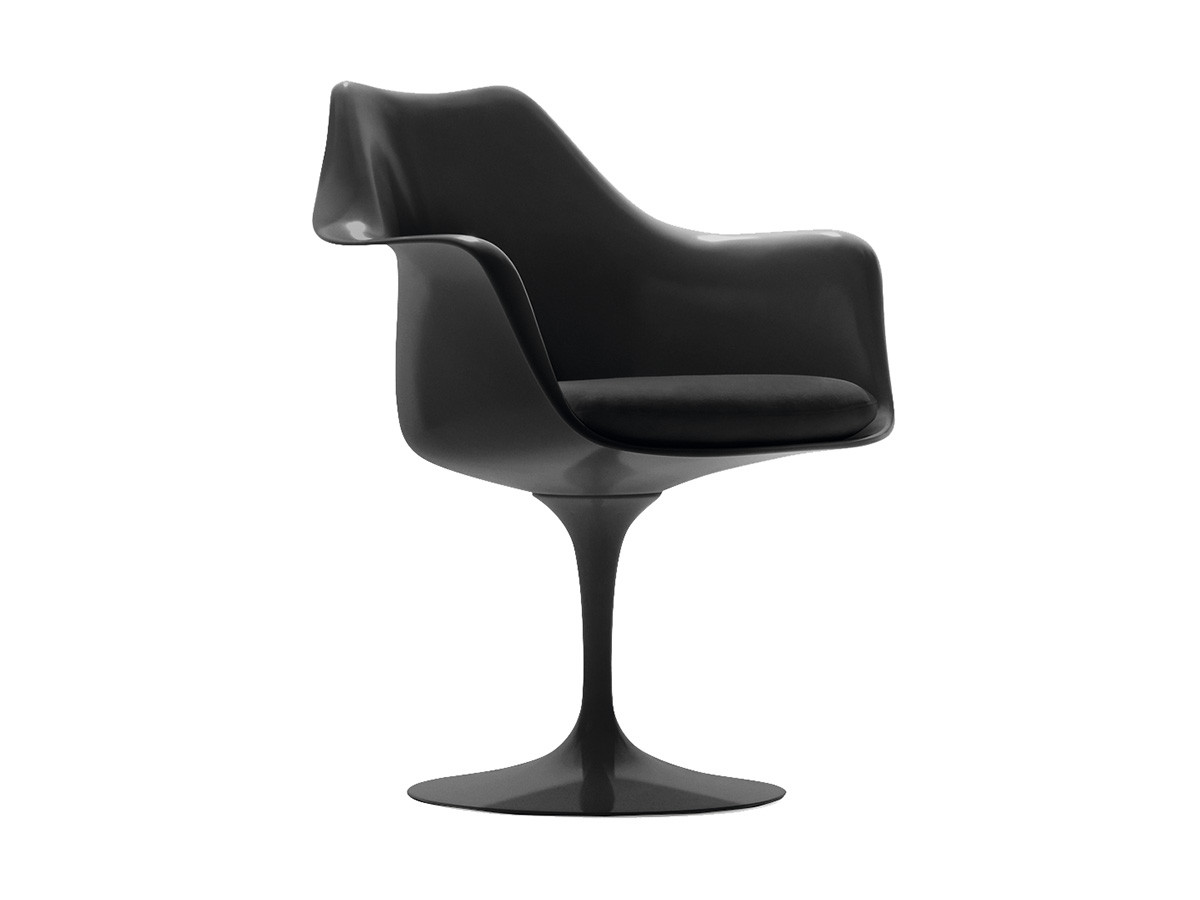 Knoll Saarinen Collection
Tulip Arm Chair / ノル サーリネン コレクション
チューリップ アームチェア （チェア・椅子 > ダイニングチェア） 2