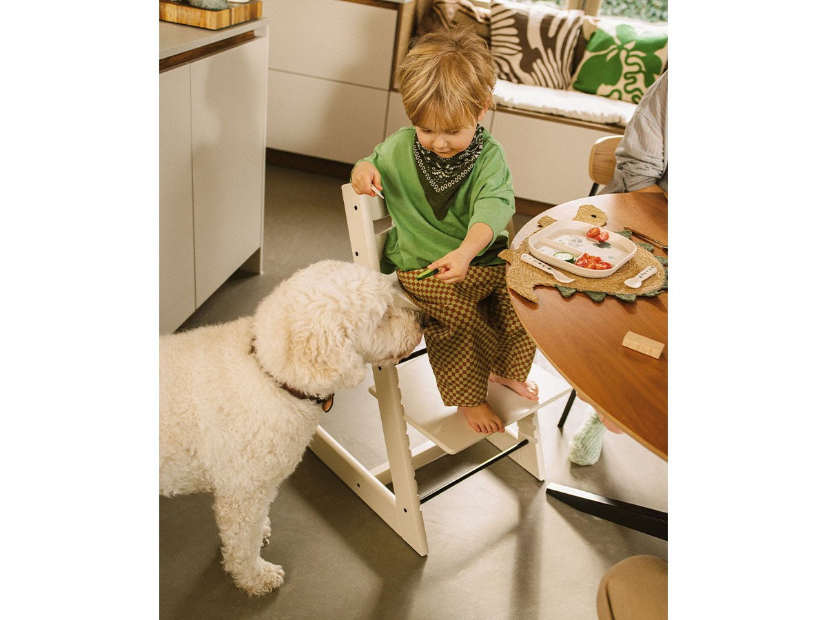 STOKKE TRIPP TRAPP / ストッケ トリップ トラップ 5in1-新生児セット （キッズ家具・ベビー用品 > キッズチェア・ベビーチェア） 62