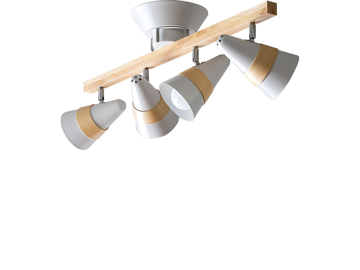 FLYMEe Parlor Ceiling Light