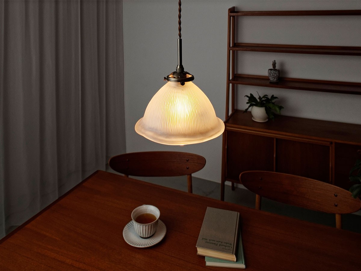 Pendant Light / ペンダントライト #113675 （ライト・照明 > ペンダントライト） 6