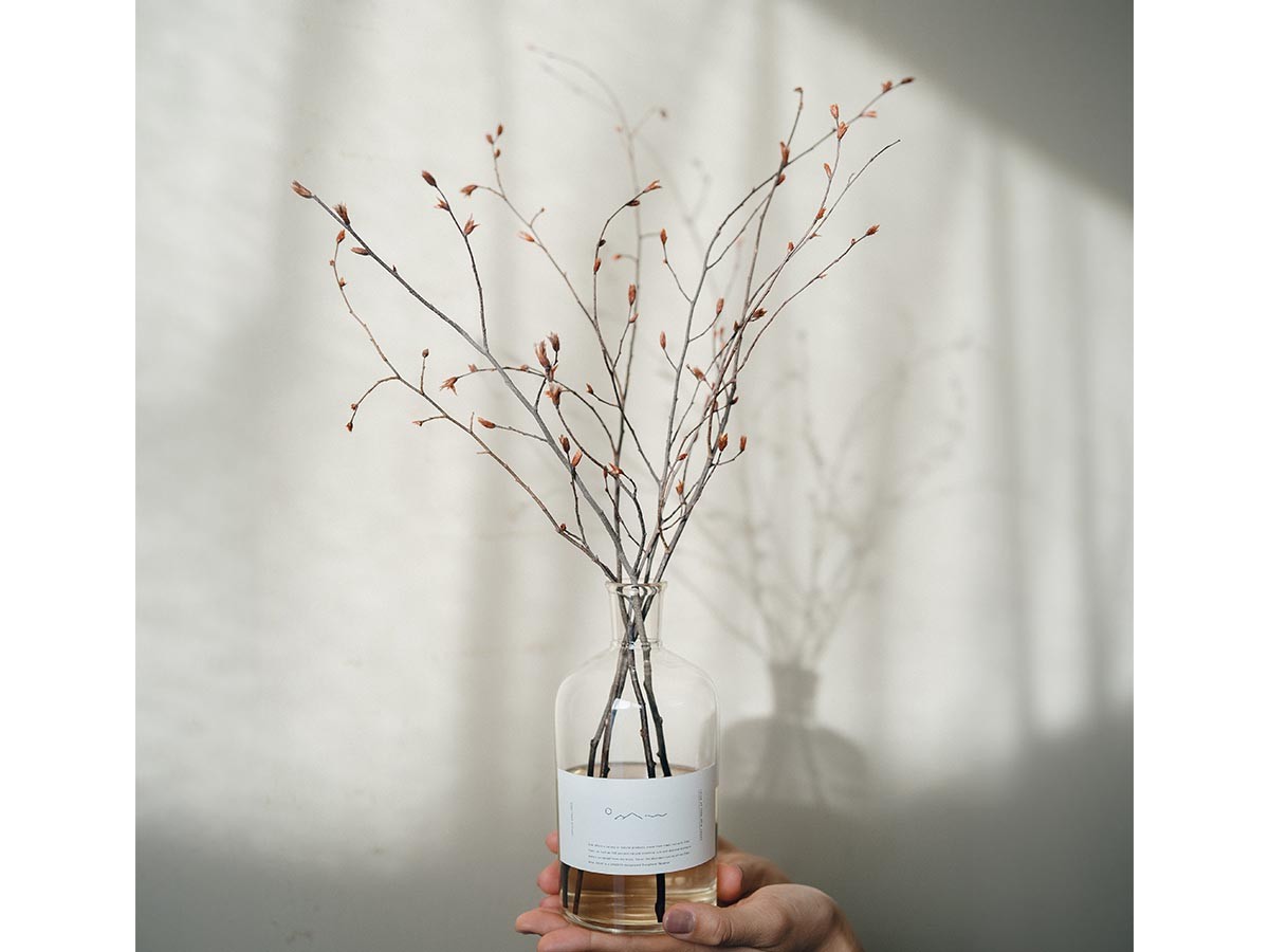 Odai inushide diffuser set / オオダイ イヌシデ ディフューザーセット 森林の香り （インテリア雑貨 > ルームフレグランス） 18