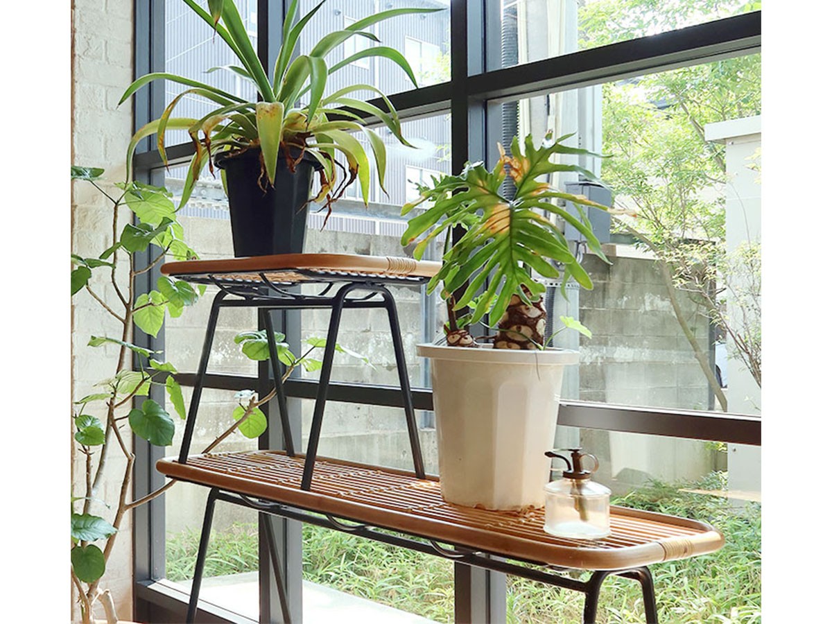 OASIS KEIN BENCH / オアシス ケイン ベンチ （チェア・椅子 > ベンチ） 6